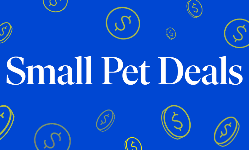 Up to 20% Off Small Pet Deals